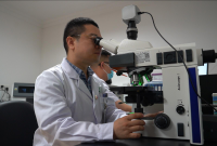 解码基因密码：分子病理如何开启精准医疗新时代？