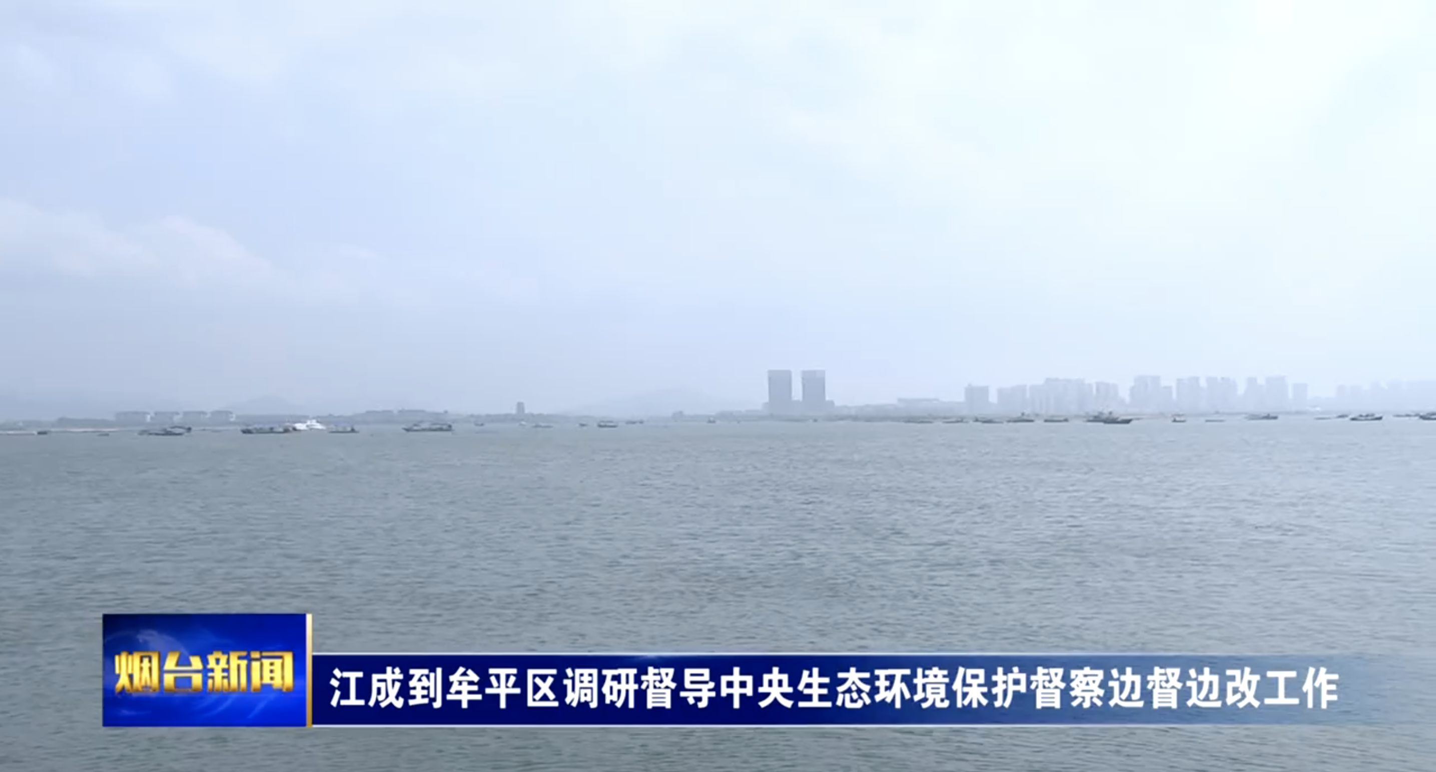 江成到牟平区调研督导中央生态环境保护督察边督边改工作