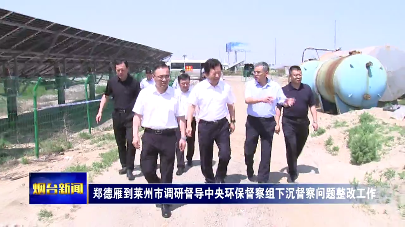 郑德雁到莱州市调研督导中央环保督察组下沉督察问题整改工作时强调：坚定扛牢生态环境保护政治责任，举一反三标本兼治抓好问题整改