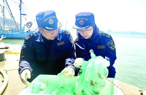 今年以来，烟台海关辖区共出口贝苗超5亿粒