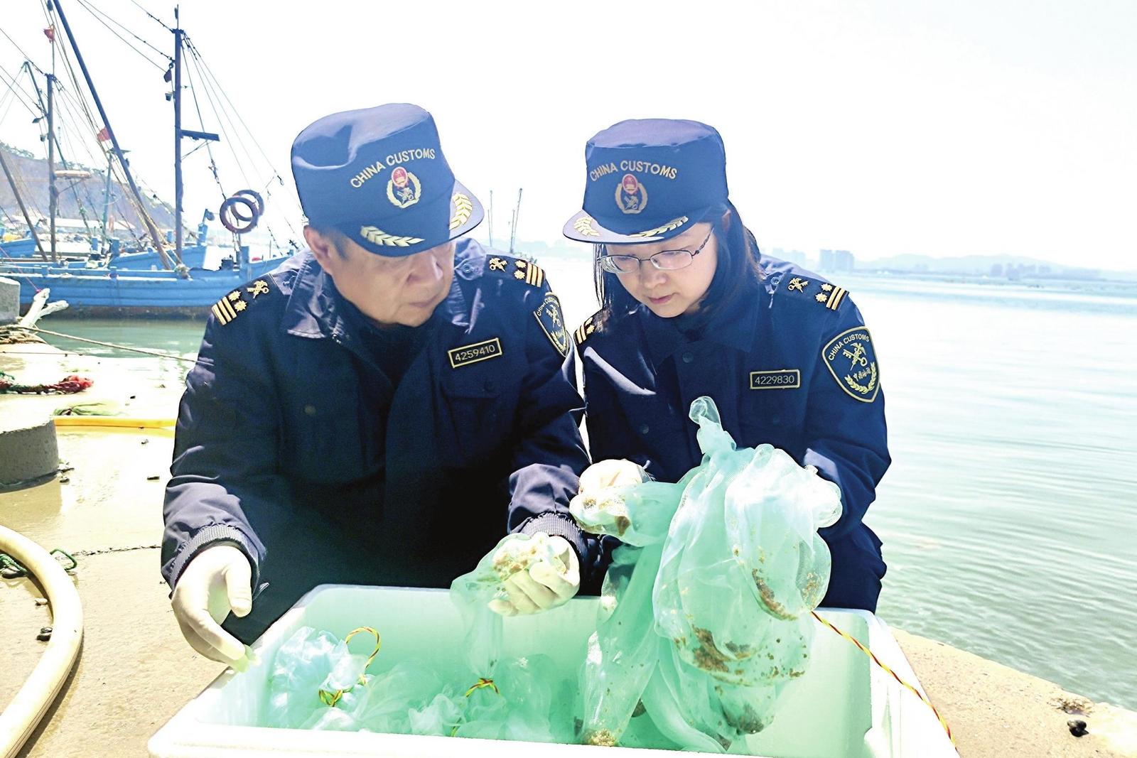 今年以来，烟台海关辖区共出口贝苗超5亿粒——“贝”速通关 “鲜”味十足