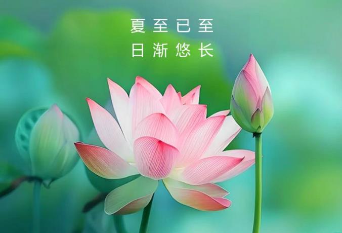 夏至：夜卧早起、冬病夏治