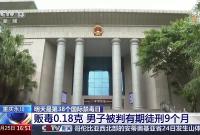 零容忍！男子贩毒0.18克，获刑9个月