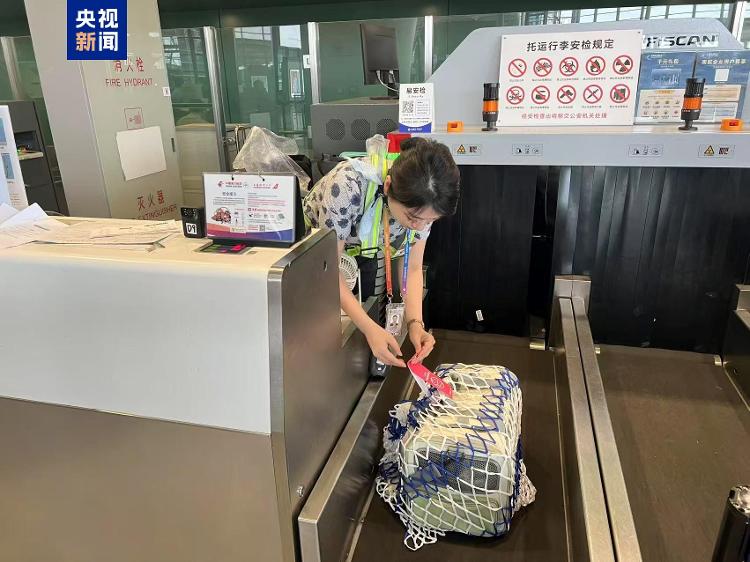 东航“宠物进客舱”服务拓展至17条航线