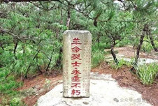 <铭记历史 缅怀先烈>昆嵛山南麓的无名兵茔