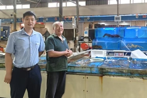 烟台农商银行精准施策解难题 金融活水助海鲜商户“游”向大市场