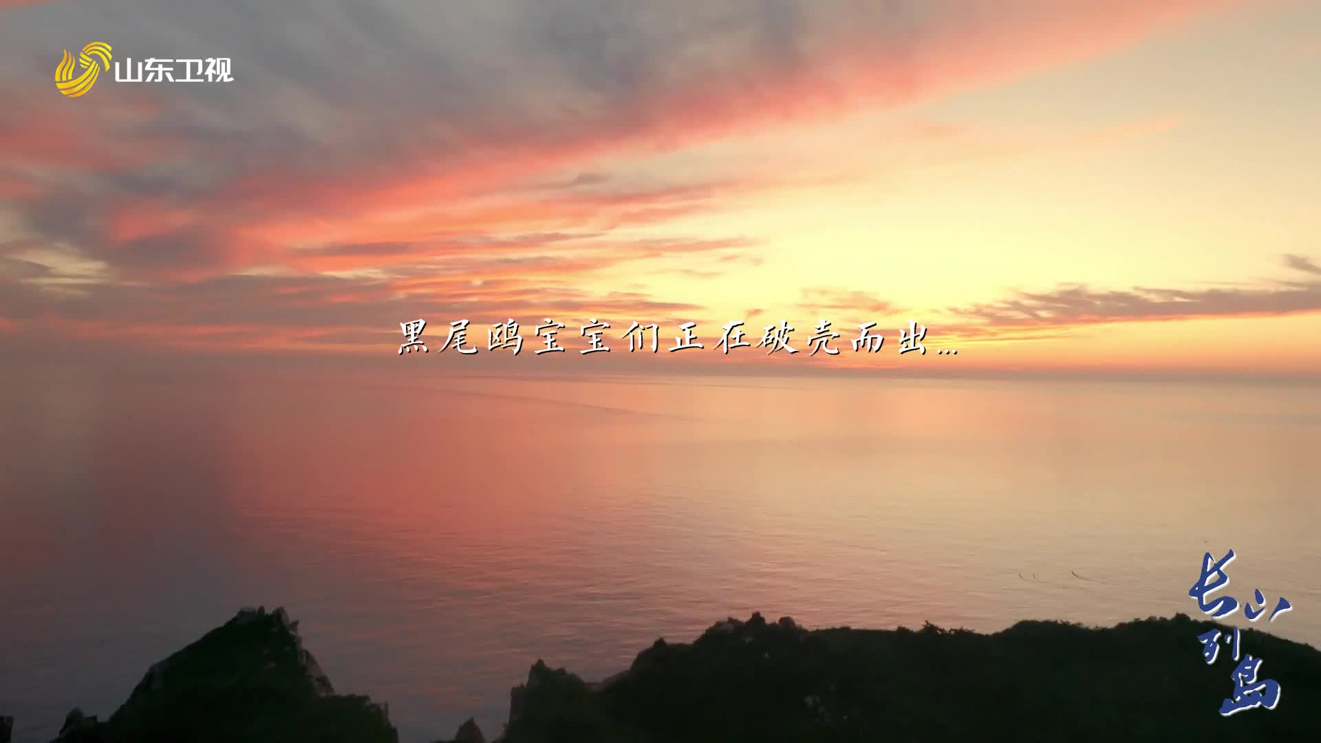 纪录片《长山列岛》：愿你