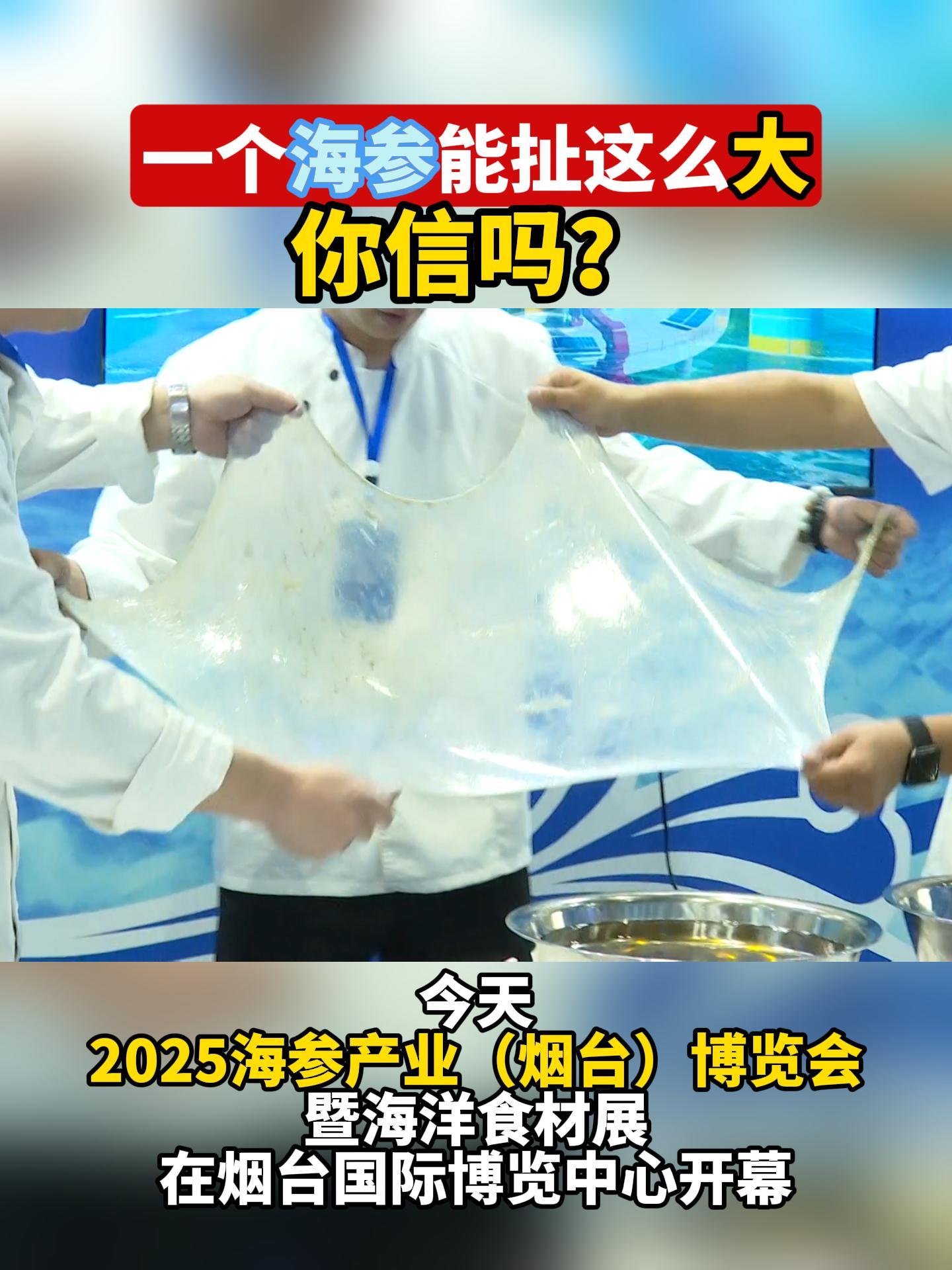 今天，2025海参产业（烟台）博览会暨海洋食材展在烟台国际博览中心开幕。展会现场一个大海参被拉皮。#参博会#海参#拉皮