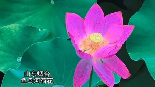 我们老祖宗眼中的中式审美，那是美在骨子里的中式自然