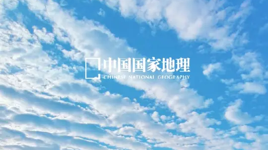 孤独本是常态，逢人不必言深