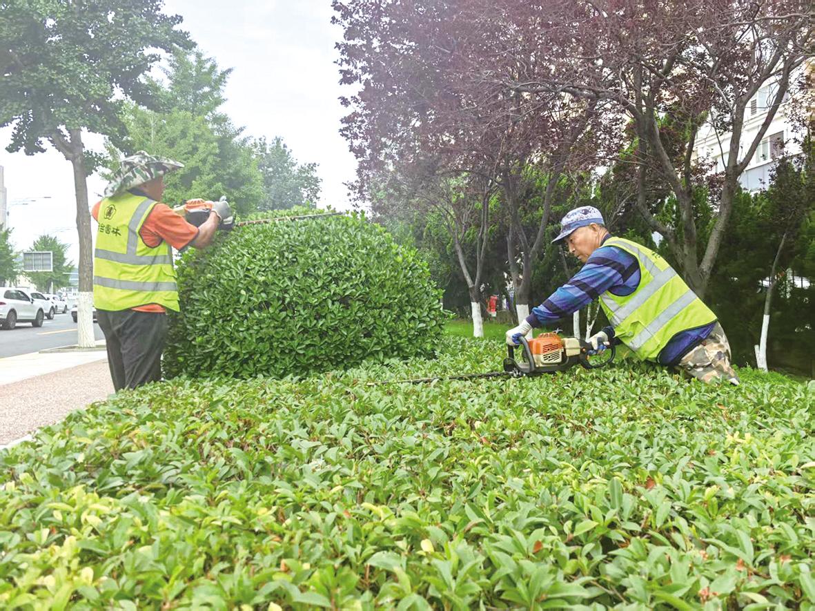 园林工人柳要顺：用汗水浇灌城市绿荫
