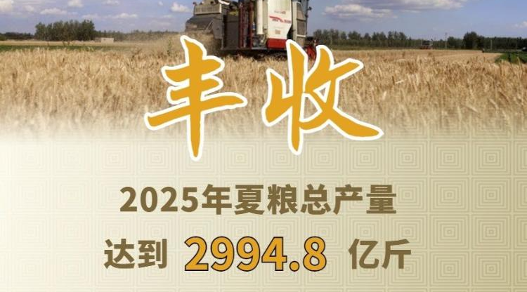今年全国夏粮获得丰收 总产量达2994.8亿斤