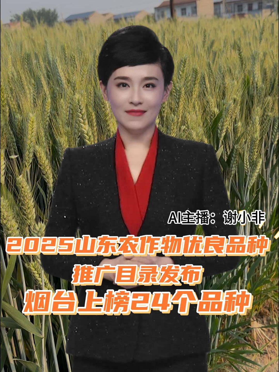 烟台上榜24个品种 2025山东农作物优良品种推广目录发布
