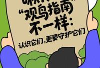 原创H5|啾！这份“观鸟指南”不一样：认识它们，更要守护它们