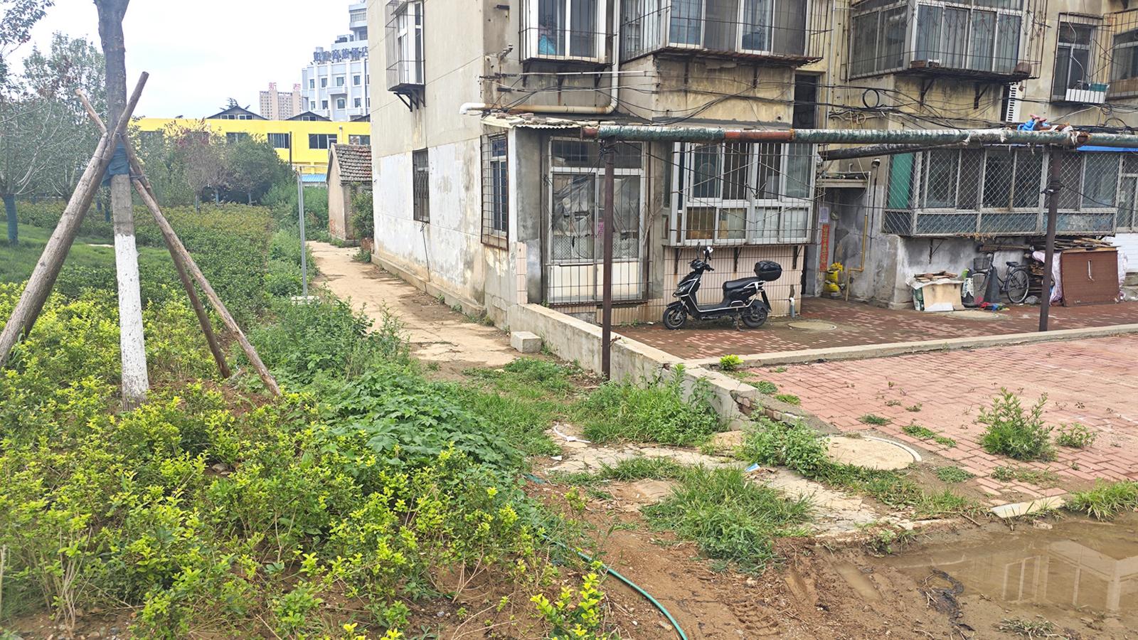 芝罘区一口袋公园的泥沙冲进小区 施工人员：还在建设中