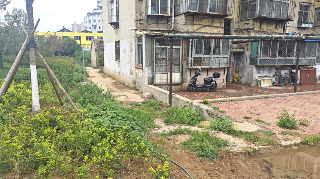 口袋公园的泥沙冲进小区 居民：每场大雨过后都有 施工人员：还在建设中