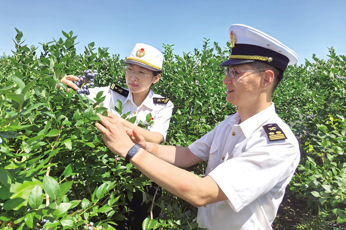 烟台4.4吨鲜蓝莓“下南洋”