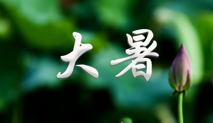 大暑至，夏意浓！
