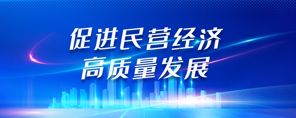 促进民营经济高质量发展