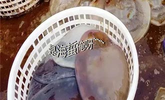 再过几天！海阳这种海鲜，就能上桌了！