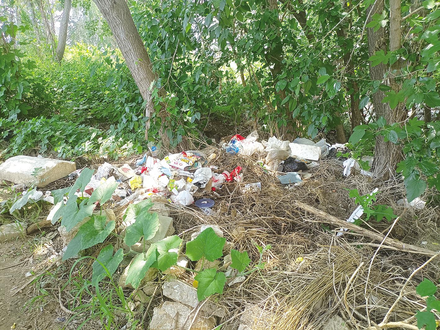 莱山区庆祥路北段绿化带内藏着“垃圾带” 市民：希望相关部门尽快清理