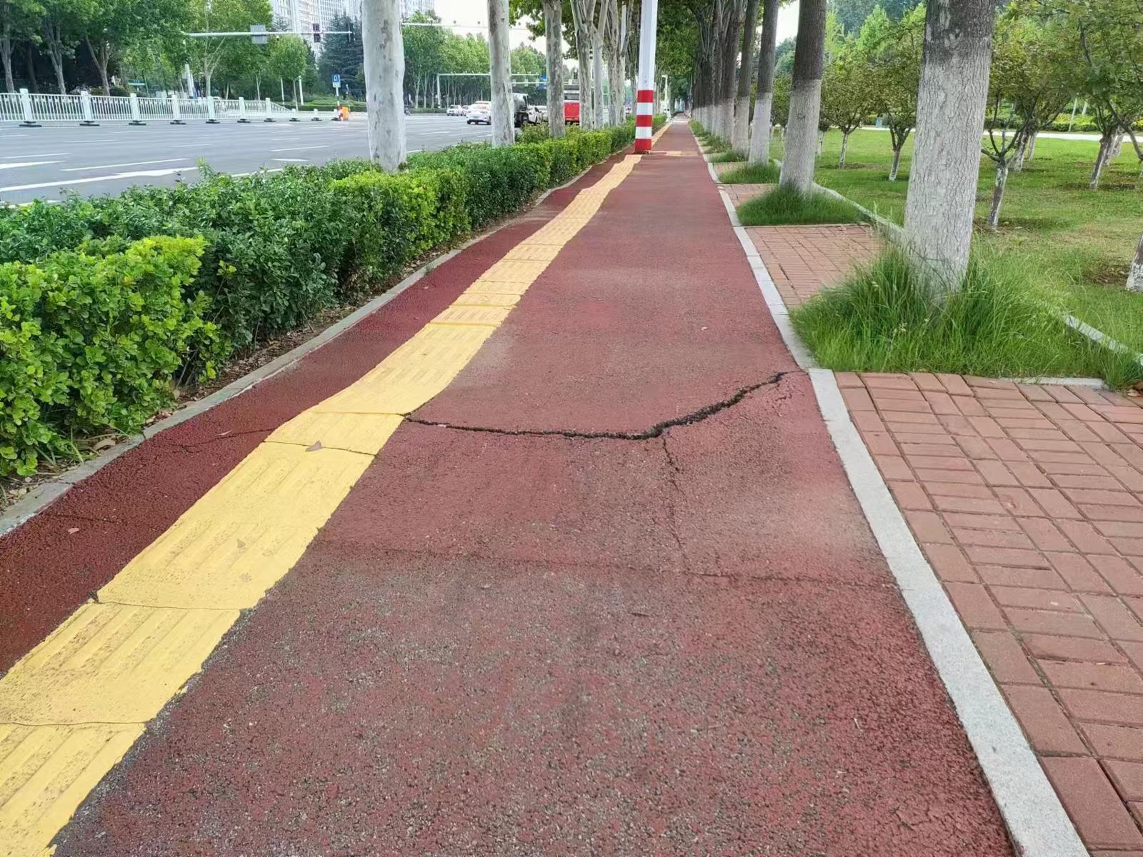 树根拱路面 骑车像跳舞 莱山区这一段“波浪路”有安全隐患
