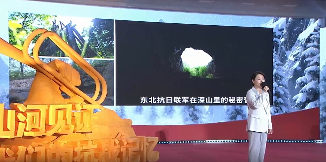 为了和平