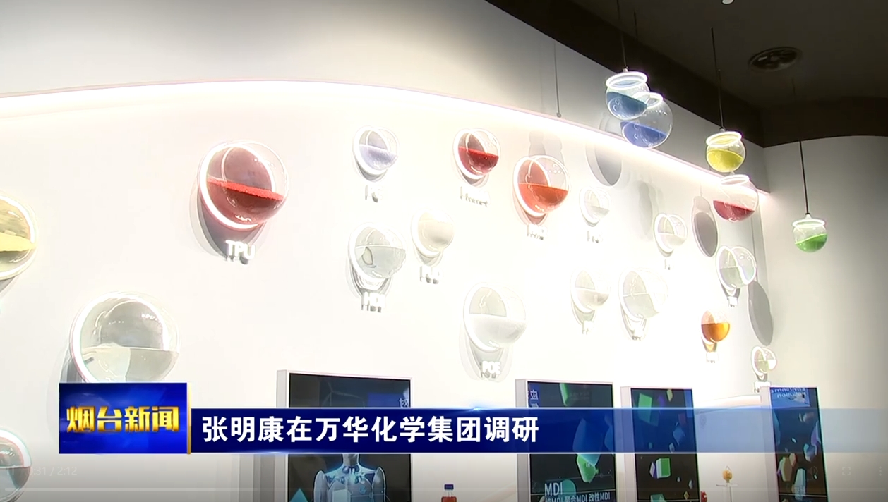 张明康在万华化学集团调研时强调：持续推进自主创新 打造世界一流企业