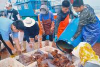 夏日的烟台，海蜇领“鲜”登场，还有这些海味不可错过！