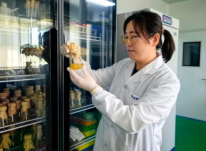 产业链上的山东好品牌|专吃细菌的生物工厂