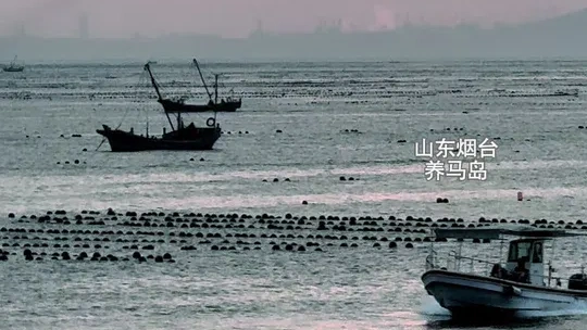 人生亦有命，安能行叹复坐愁？