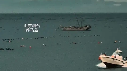 谁道人生无再少？门前流水尚能西