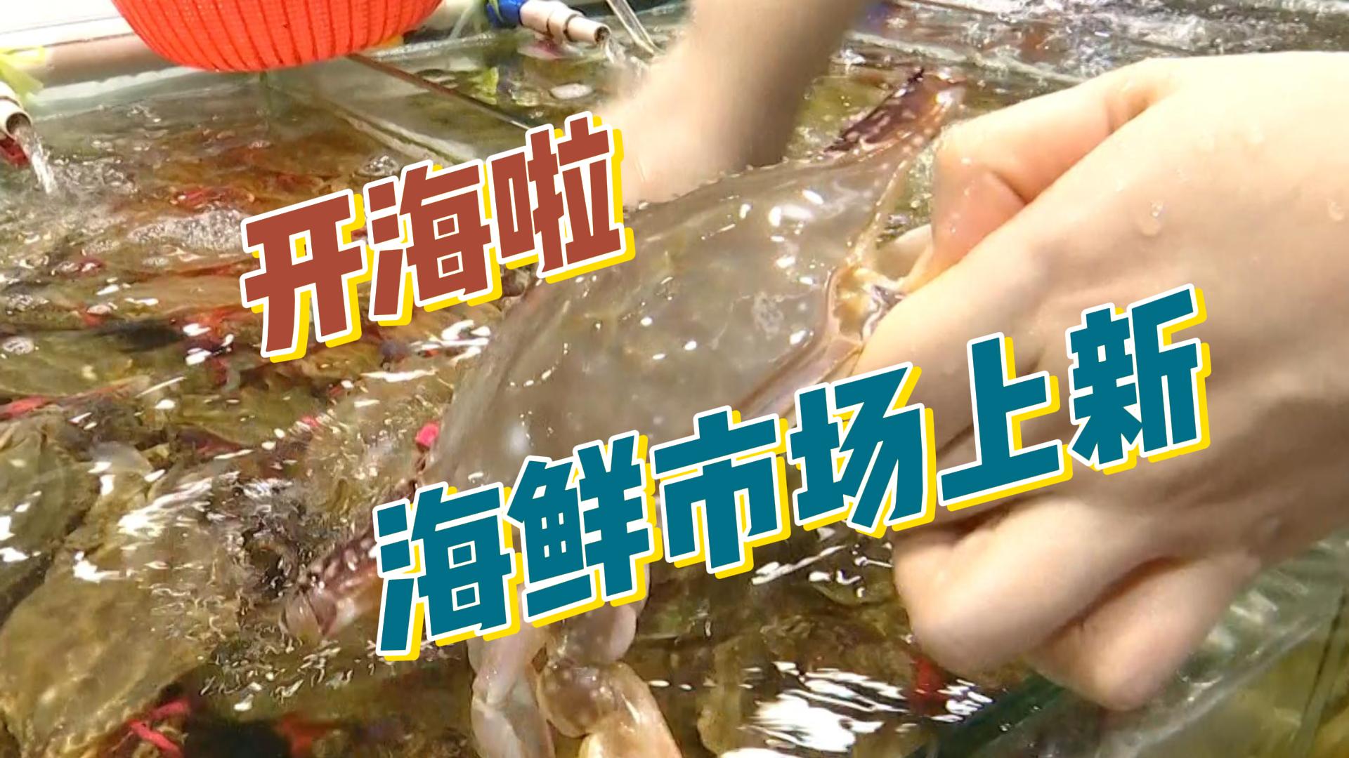 9月1日，黄渤海休渔期结束，我市海鲜市场新鲜来袭，那现场情况怎么样呢，一起来看一下。