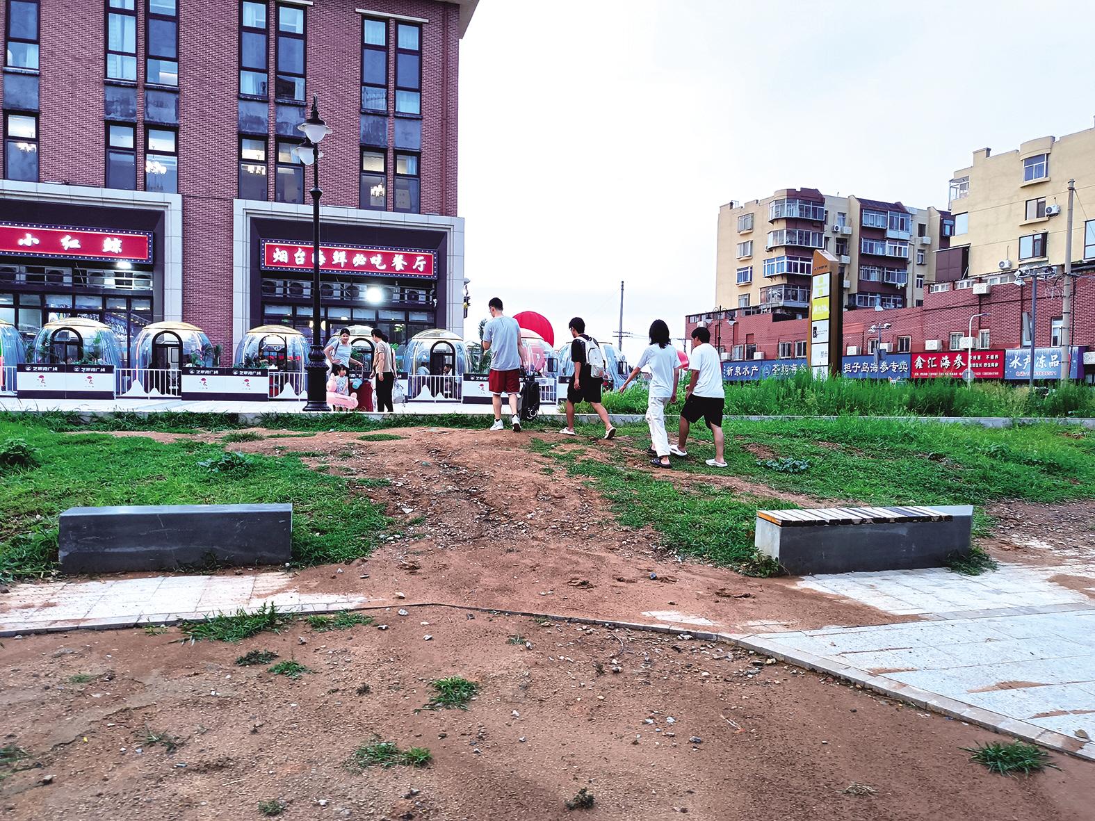芝罘湾广场绿地踩出土路 市民：下雨就流黄，建议因势利导建成美观通道