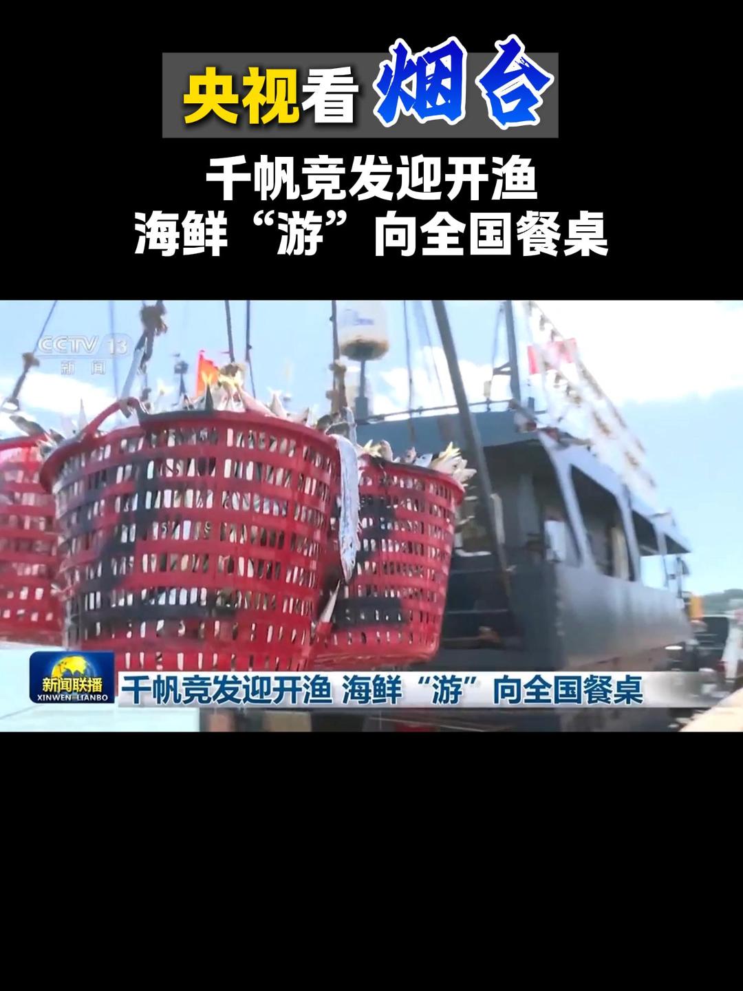 央视看烟台：千帆竞发迎开渔，海鲜“游”向全国餐桌