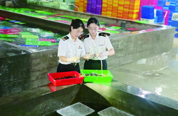 海上新山东|烟业抢抓水产品出口“第一鲜”