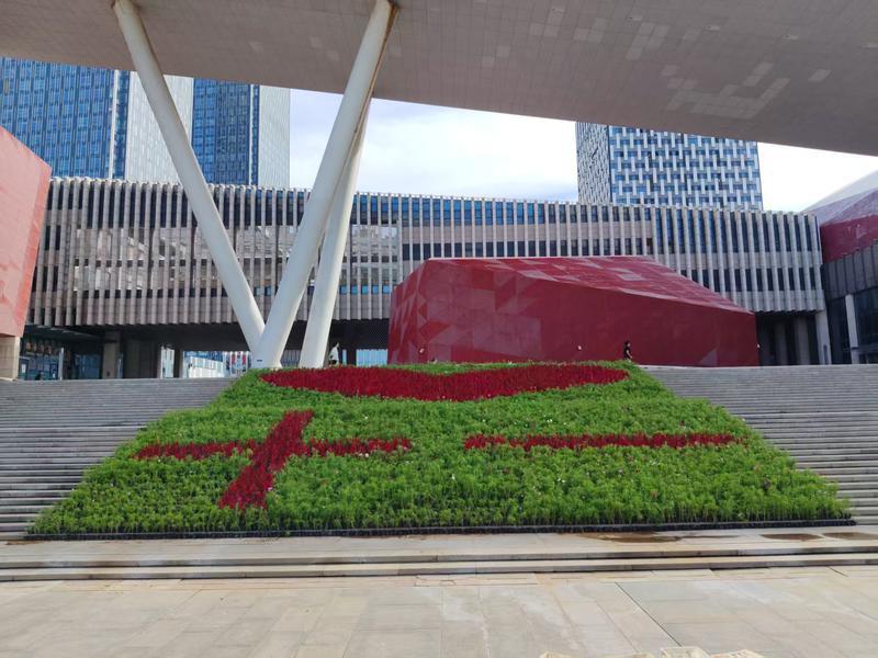迎接国庆，主题花卉绽放烟台文化中心广场