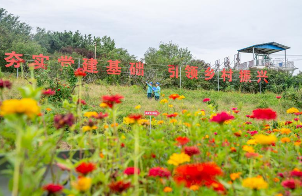 庆农业丰收 享美好生活|丰粮沃土满格电 乡村振兴好“丰”景
