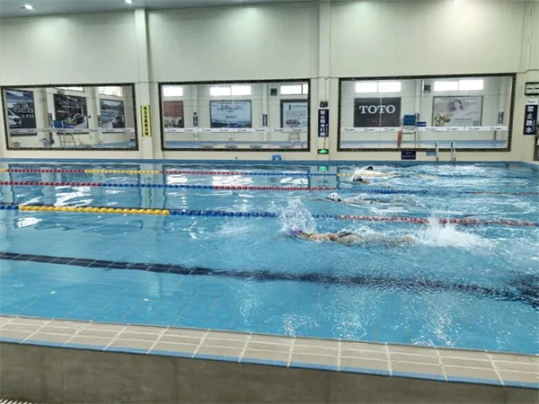 2025年龙口市中小学生体育联赛游泳比赛圆满落幕