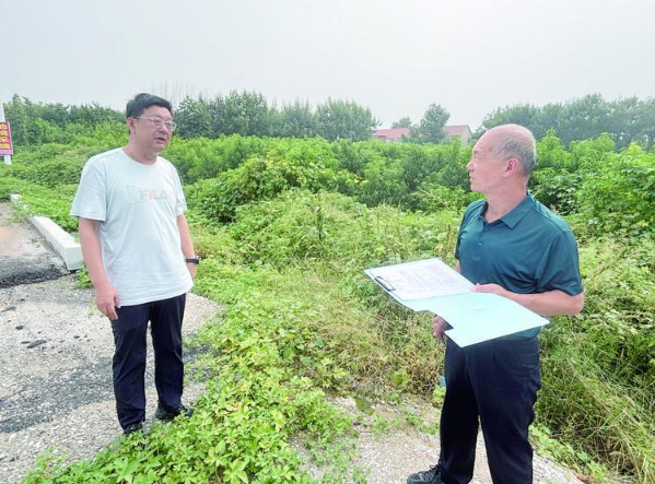 莱州市这些农村人居环境问题，12345热线帮助解决了