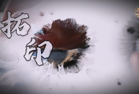 千年文脉在指尖触达，沉浸式感受拓印技艺里的匠心传承，让千年文化在纸上“活”起来。拓印不仅仅是一种技艺，更是和古人对话的方式，这门古老的技艺，犹如传承文明的使者，将历史的痕迹复刻在纸上。