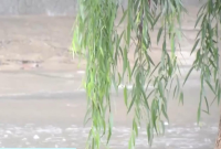 昨天，烟台的雨最大下在哪？