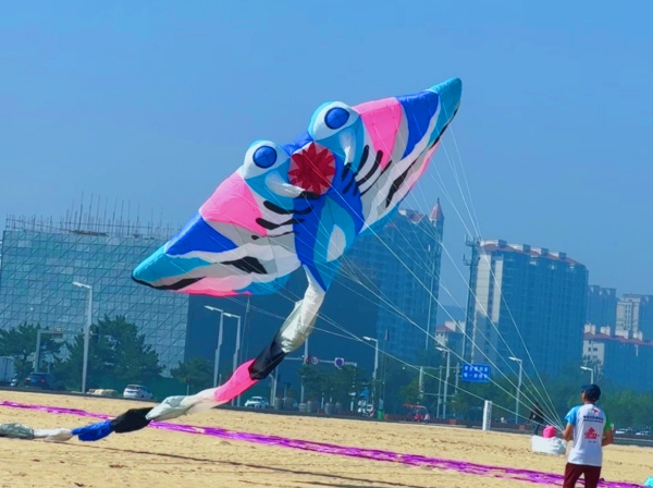 百鸢齐飞，绘就秋日华章！山东省第二届风筝公开赛盛大开幕