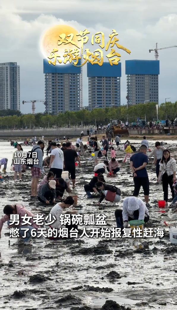 听说憋了一假期的烟台人开始报复性赶海了
