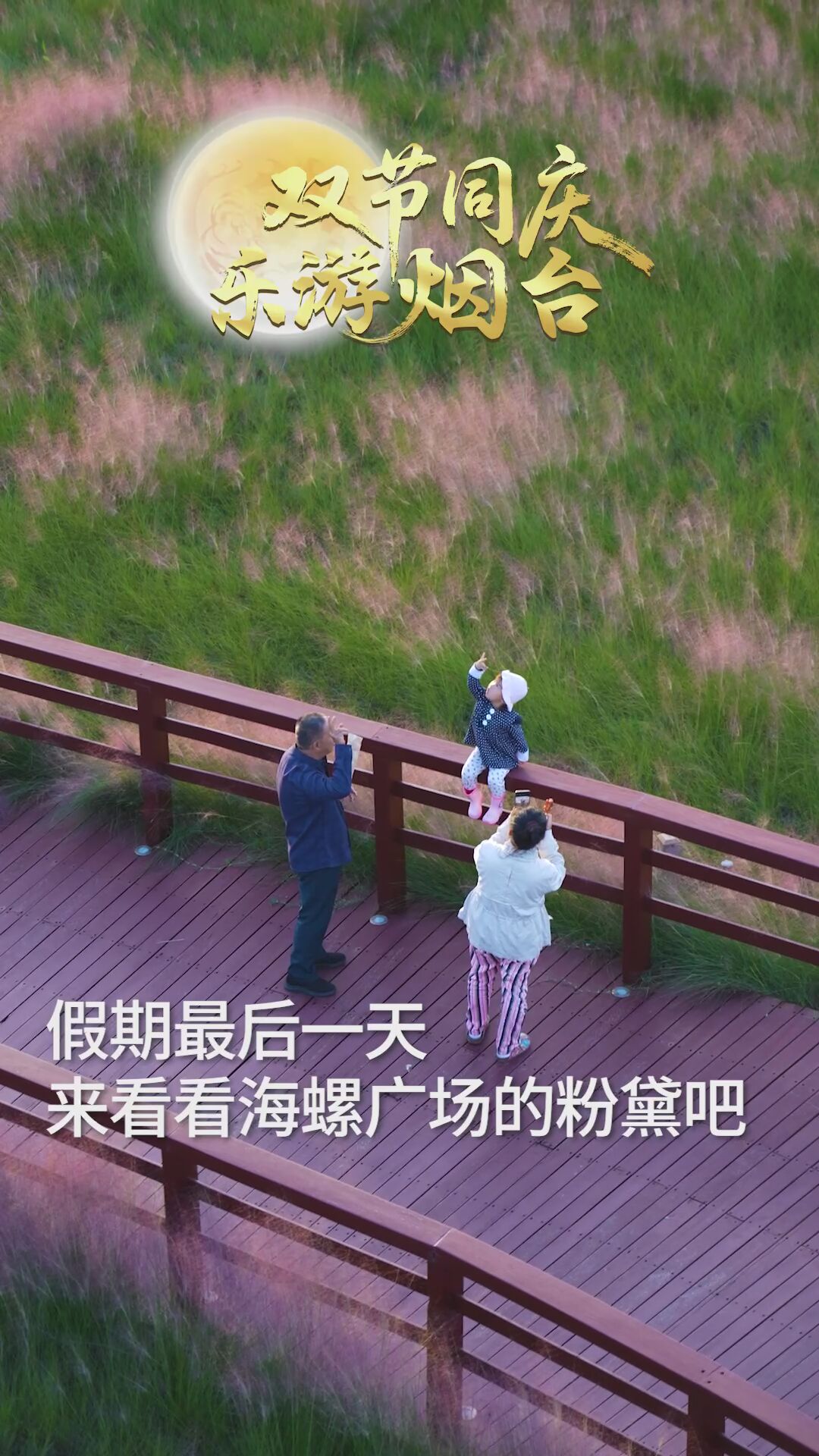 烟台的粉色限定浪漫