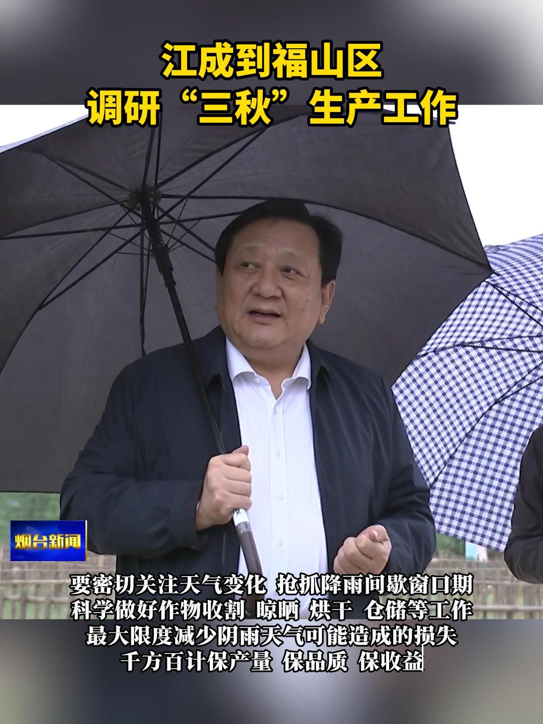 10月9日下午，山东省委常委、烟台市委书记江成到福山区调研“三秋”生产工作。他强调，当前正值“三秋”生产关键时期，要牢牢把握秋季农业生产特点，密切关注天气变化，抢抓降雨间歇窗口期，科学做好作物收割、晾晒、烘干、仓储等工作，最大限度减少阴雨天气可能造成的损失，千方百计保产量、保品质、保收益。