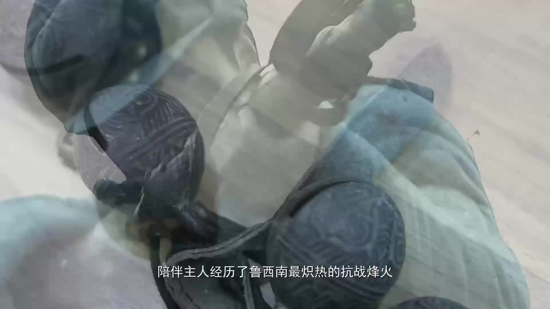 热血山河|一位书生投笔从戎、战马嘶鸣的烽火传奇