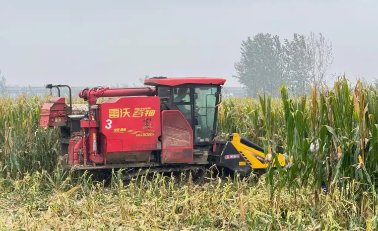 全国秋粮收获已过五成，多地连阴雨争分夺秒抢收抢烘