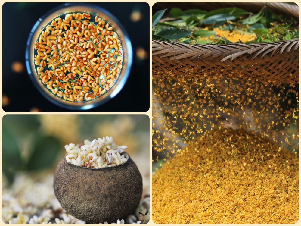 你的秋季时令美食图鉴已更新