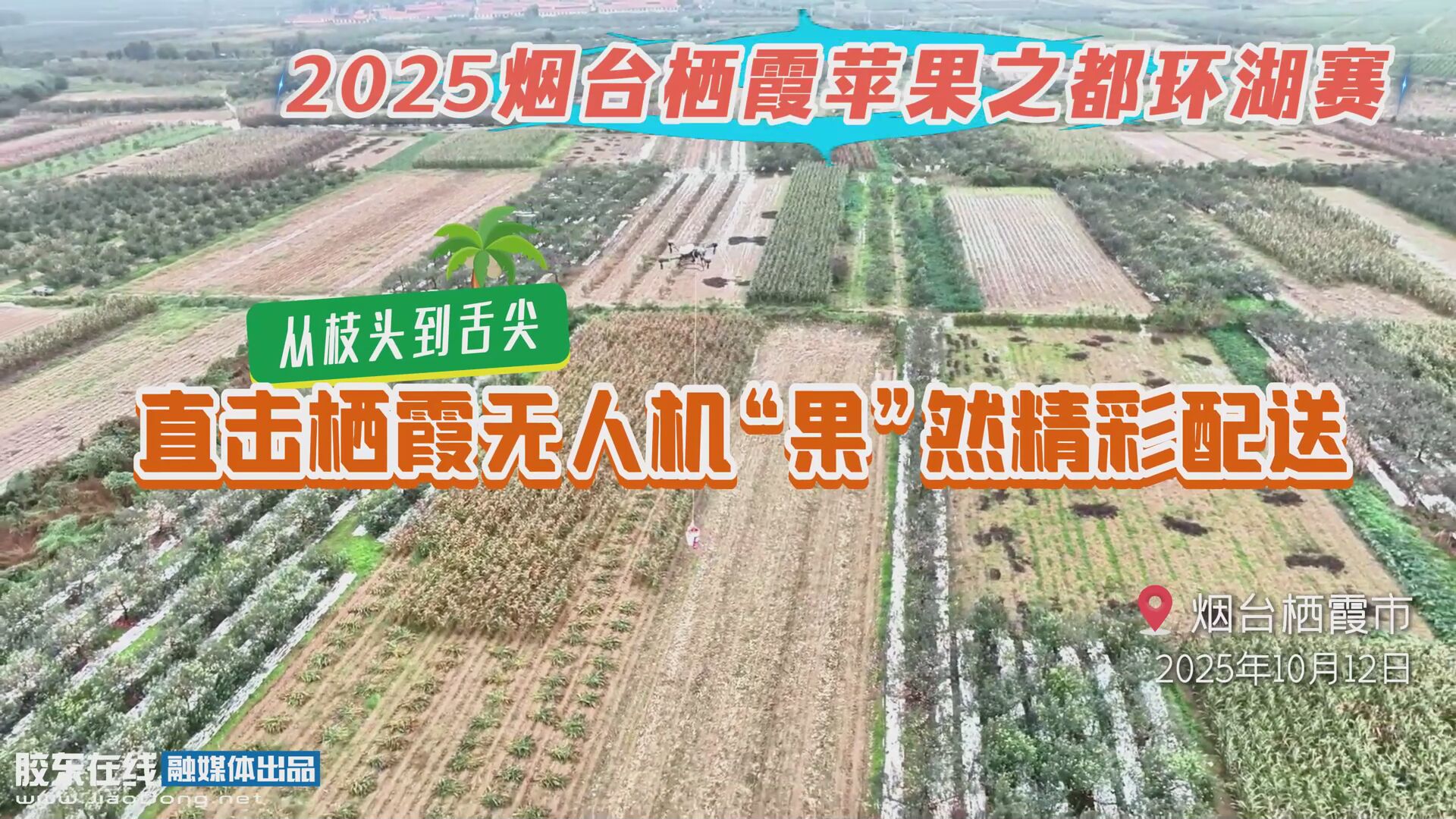 2025烟台栖霞苹果之都环湖赛——从枝头到舌尖！直击栖霞无人机“果”然精彩配送 #栖霞#苹果#无人机